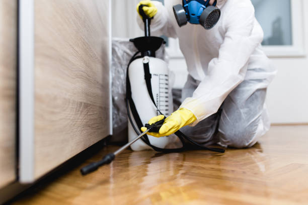Best Wasp Removal Services  in Cheree, OK