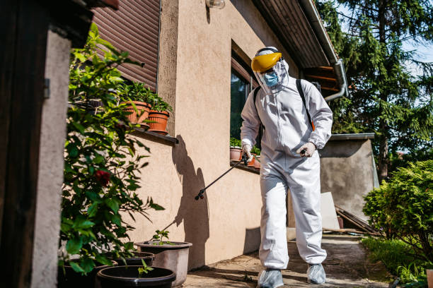 Best Affordable Pest Control Services  in Cheree, OK
