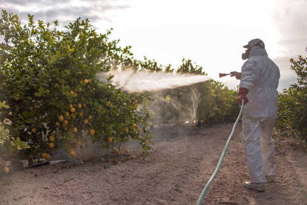 Best Cockroach Control Services  in Cheree, OK