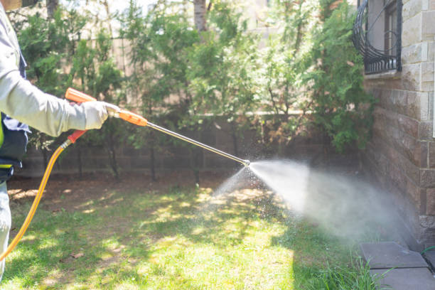 Best Rodent Control Near Me  in Cheree, OK