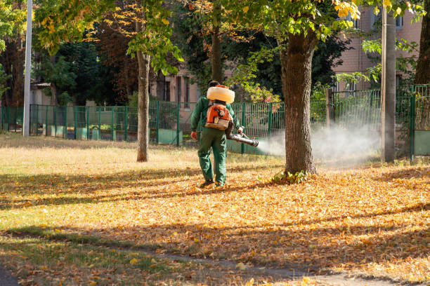 Trusted Cherokee, OK Pest Control Experts