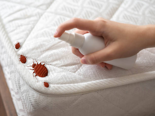 Best Affordable Pest Control Services  in Cheree, OK