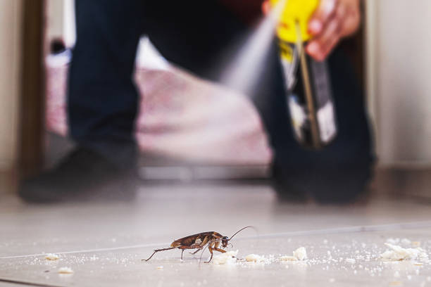 Best Rat Extermination Near Me  in Cheree, OK