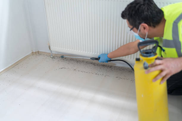 Best Bed Bug Extermination  in Cheree, OK