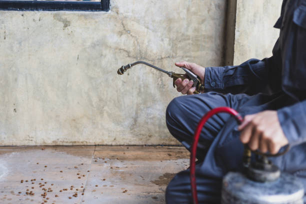 Best Emergency Pest Control  in Cheree, OK