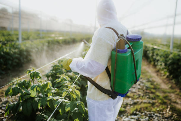 Best Commercial Pest Control Services  in Cheree, OK